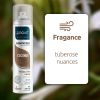 ABOVE Coconut - Dry Shampoo - Absorbs Excess Oil Between Washes - Gives Softness and Shine to Your Strands - Does Not Leave Residue - Prevents Bad Odo
