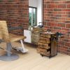 Industrial Salon Beauty Styling Station;  4-Wheel Rolling Cart with Large Storage Space for Hair Dryer;  Curling Iron;  Hair Straightener;  Brush;  Co